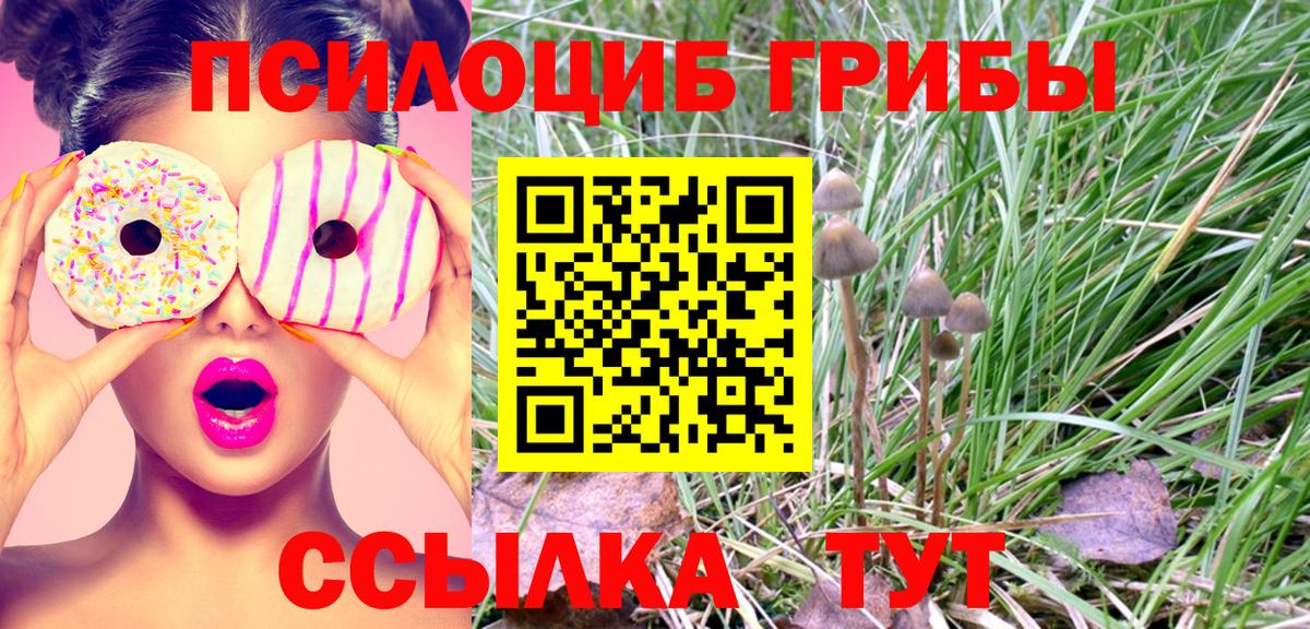 Вольск  как найти закладки  Вход с VPN  Галлюциногенные грибы Magic Shrooms 