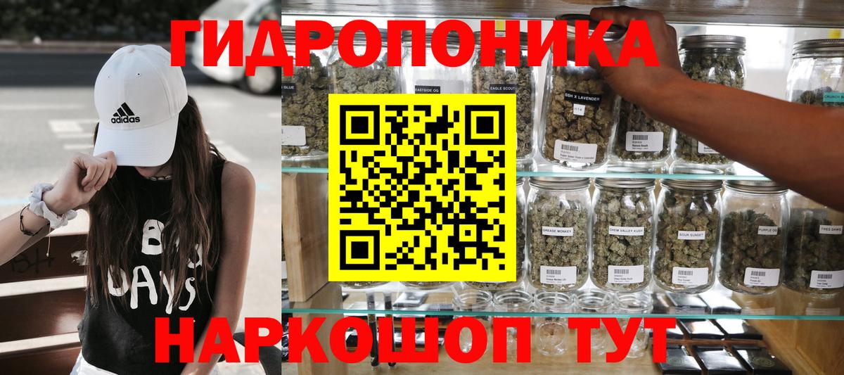 МАРИХУАНА план  Бошки марихуана SATIVA & INDICA  Бошки Шишки Amnesia  Вольск  Каннабис ГИДРОПОН  Вход с VPN 